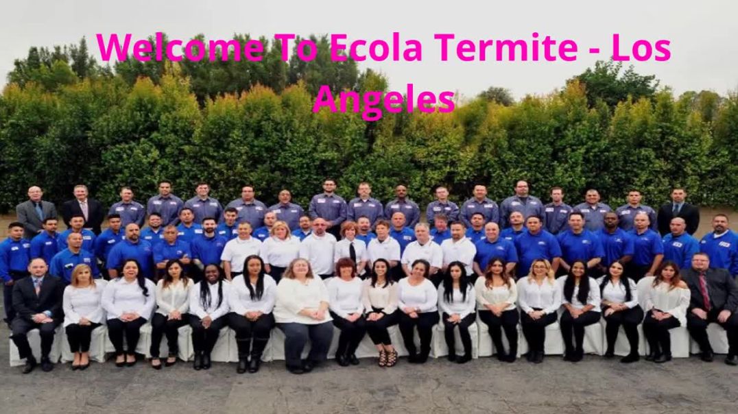 ⁣Ecola Termite - Reliable Pest Control in Los Angeles, CA