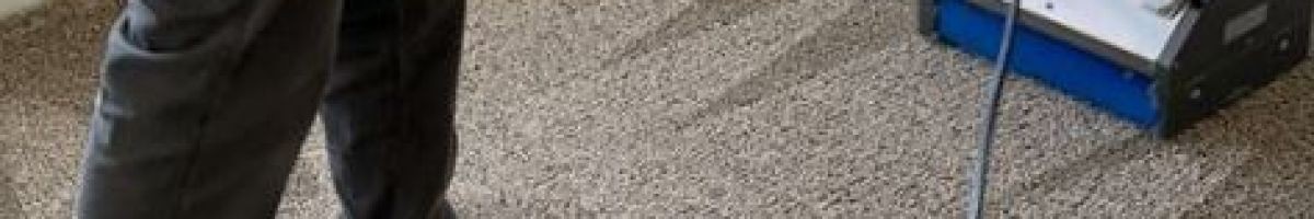 Steam Action Carpet Cleaning 