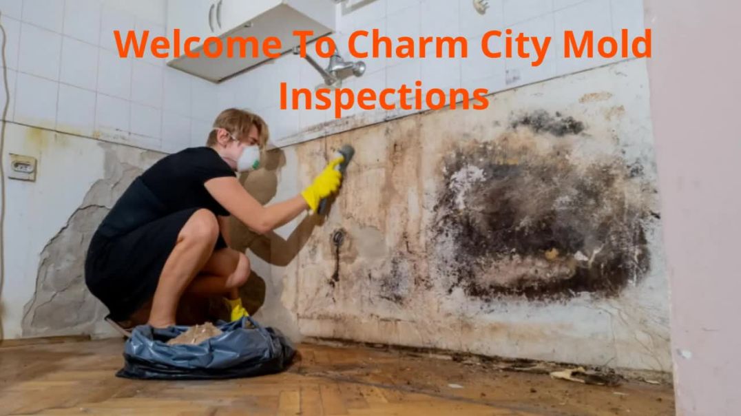 Charm City Mold Inspections - Reliable Mold Testing in Baltimore, MD
