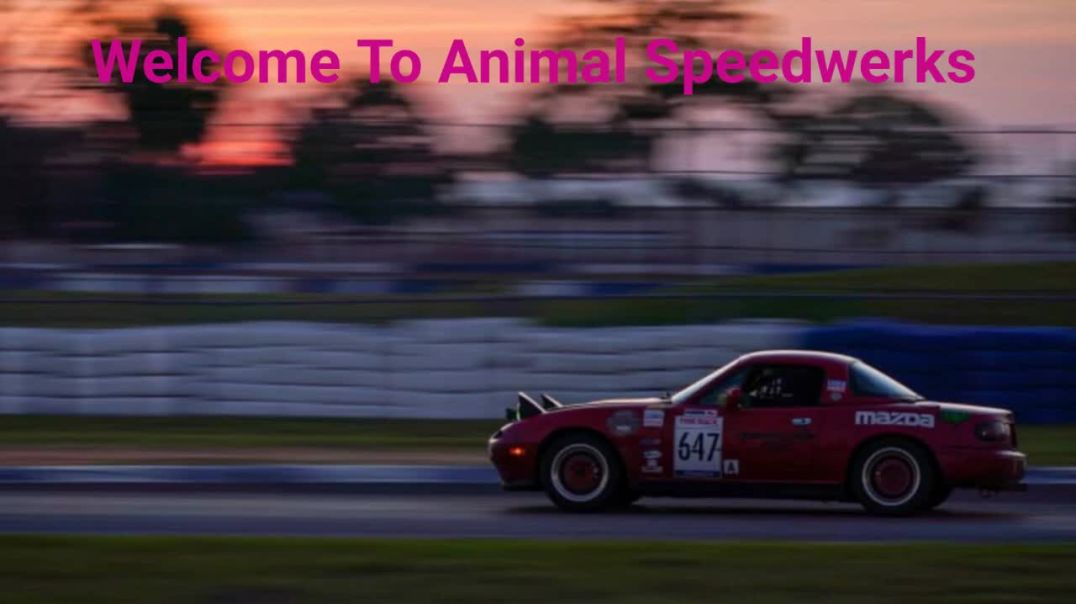 ⁣Animal Speedwerks - Mechanic Shops in Crossville, TN