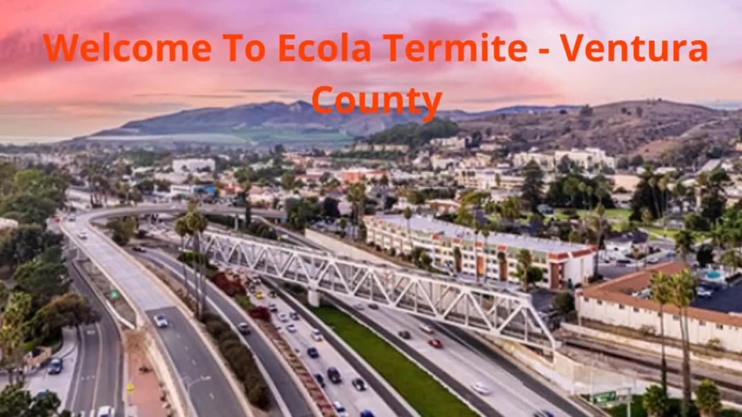 ⁣Ecola Termite - Rodent Control in Ventura, CA