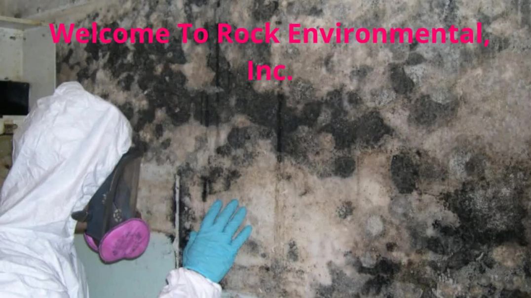 ⁣Rock Environmental, Inc. - Mold Remediation in Rochester, NY