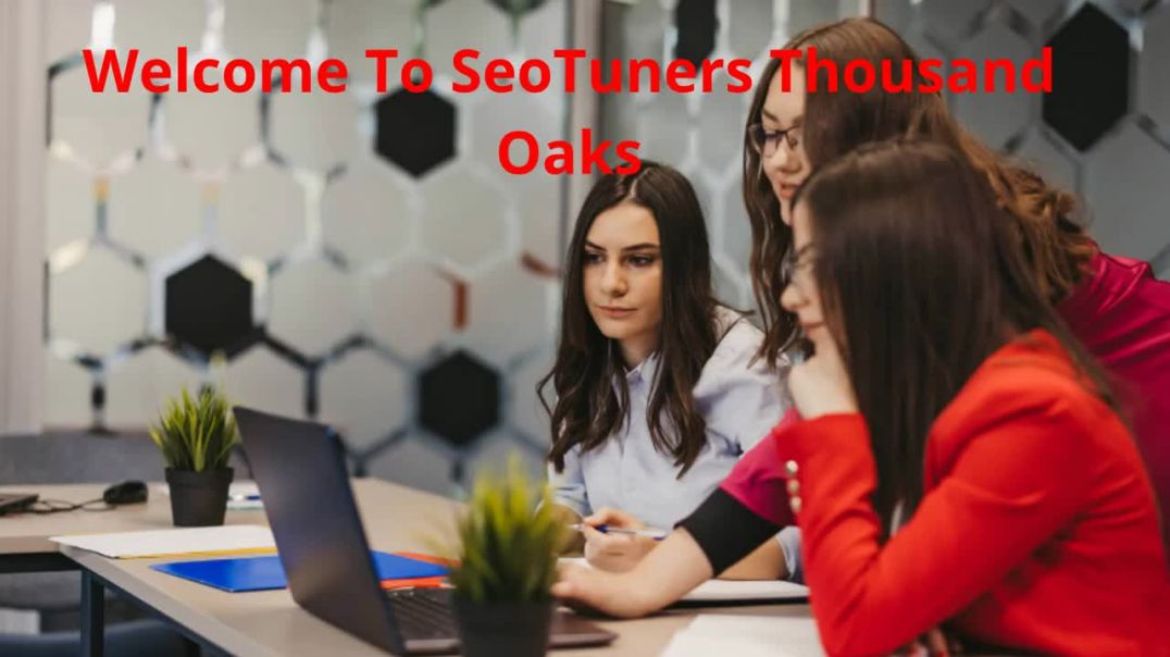 ⁣SeoTuners - Professional SEO Company in Thousand Oaks, CA