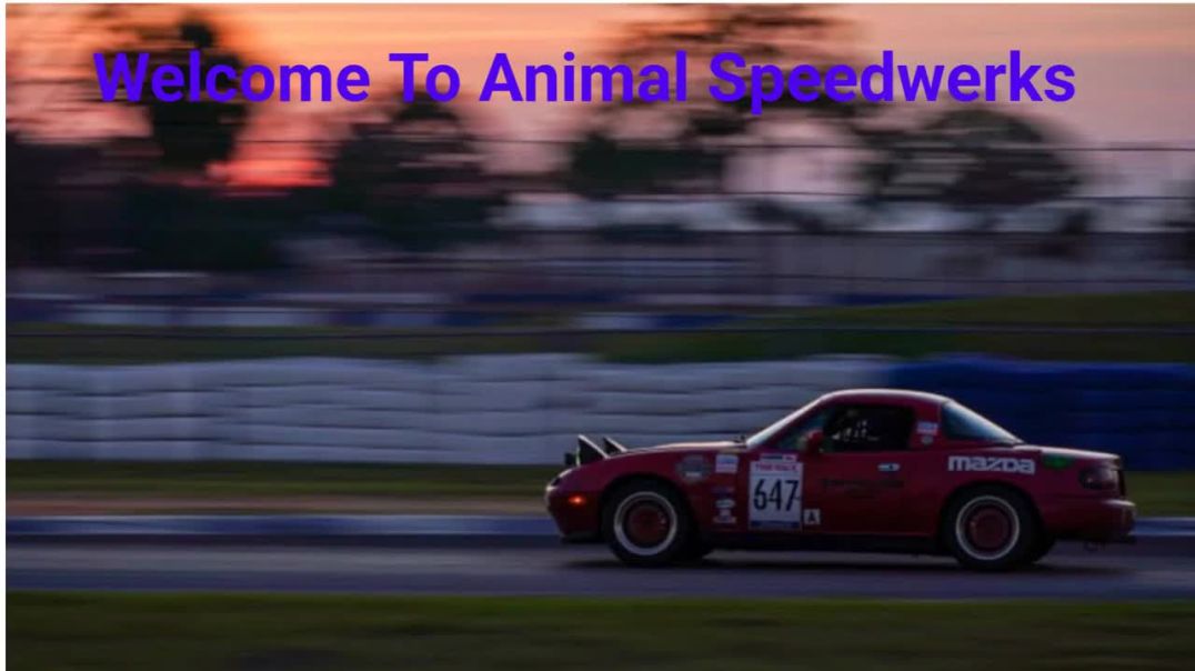 Animal Speedwerks - Trusted Auto Repair in Crossville, TN