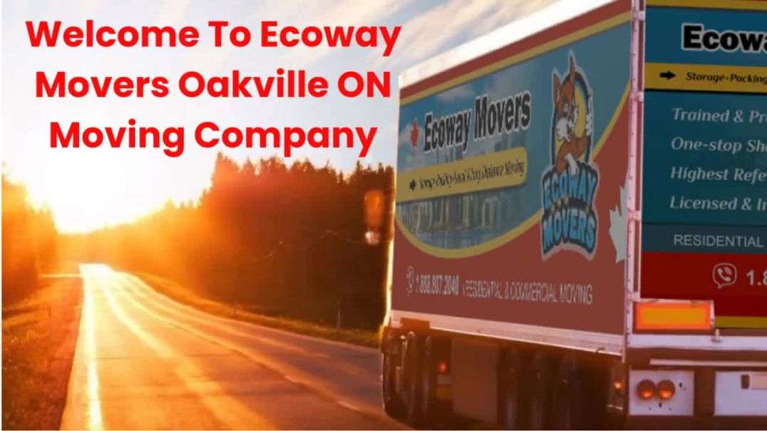 ⁣Ecoway Mover in Oakville, ON
