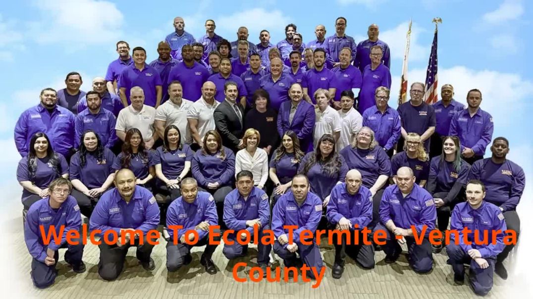 ⁣Ecola Termite - Reliable Pest Control in Ventura County, CA
