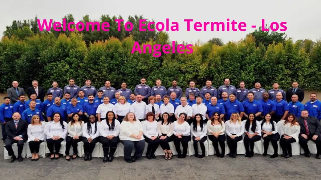 ⁣Ecola Termite - Trusted Exterminator in Los Angeles, CA