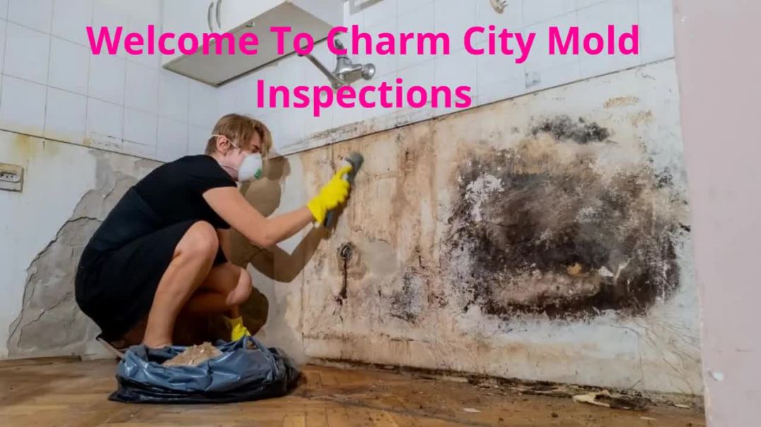 ⁣Charm City Mold Inspections - Certified Mold Testing in Baltimore, MD