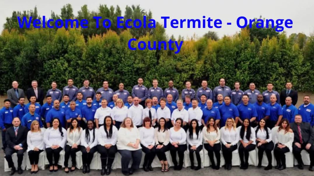 Ecola Termite Company in Orange County, CA