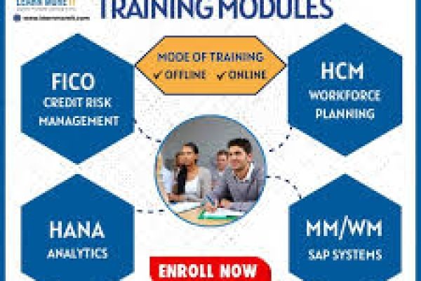 S.A.P institute in Ameerpet