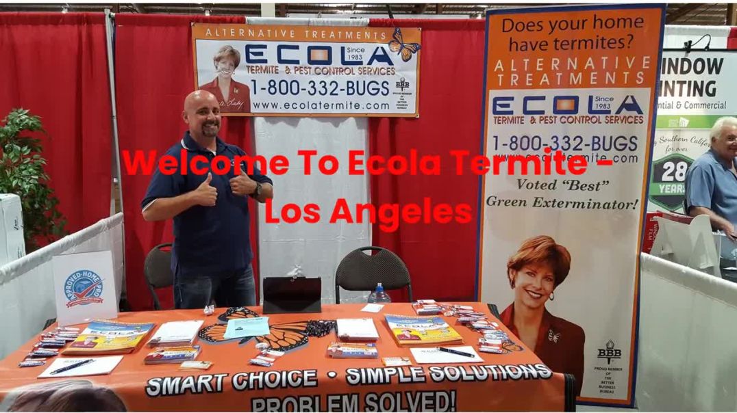 ⁣Ecola Termite Inspection in Los Angeles | (818) 920-7301
