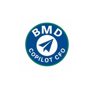 BMD Professional Consulting LLC