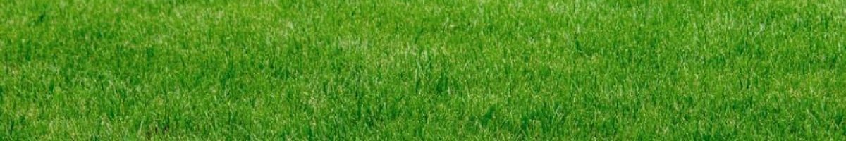 Exceptional Outdoors LLC 