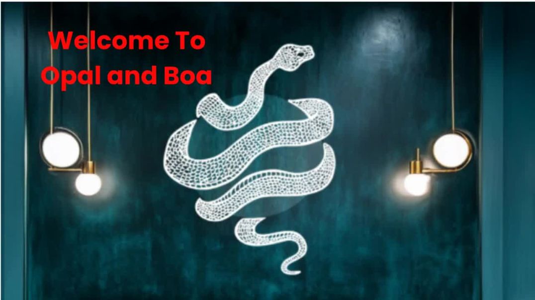 ⁣Opal and Boa : Best Hairdresser in Philadelphia, PA