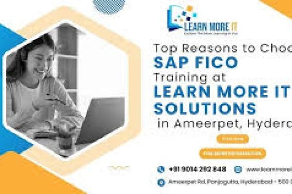 S.A.P fico institute in Ameerpet