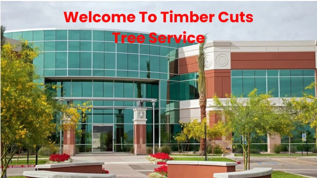 ⁣Timber Cuts Tree Removal Service in Farmington, UT