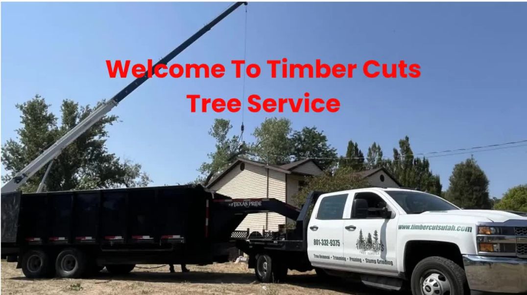 ⁣Timber Cuts Tree Removal Service in Centerville, UT