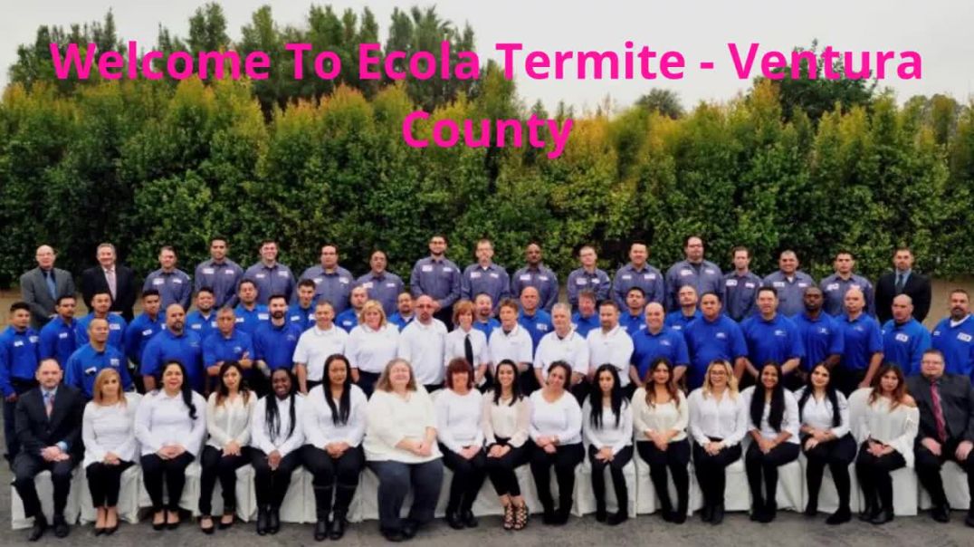 ⁣Ecola Termite – Trusted Pest Control in Oxnard, CA
