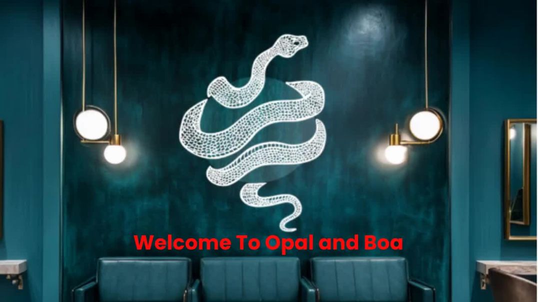 ⁣Opal and Boa : Best Hair Stylist in Philadelphia, PA