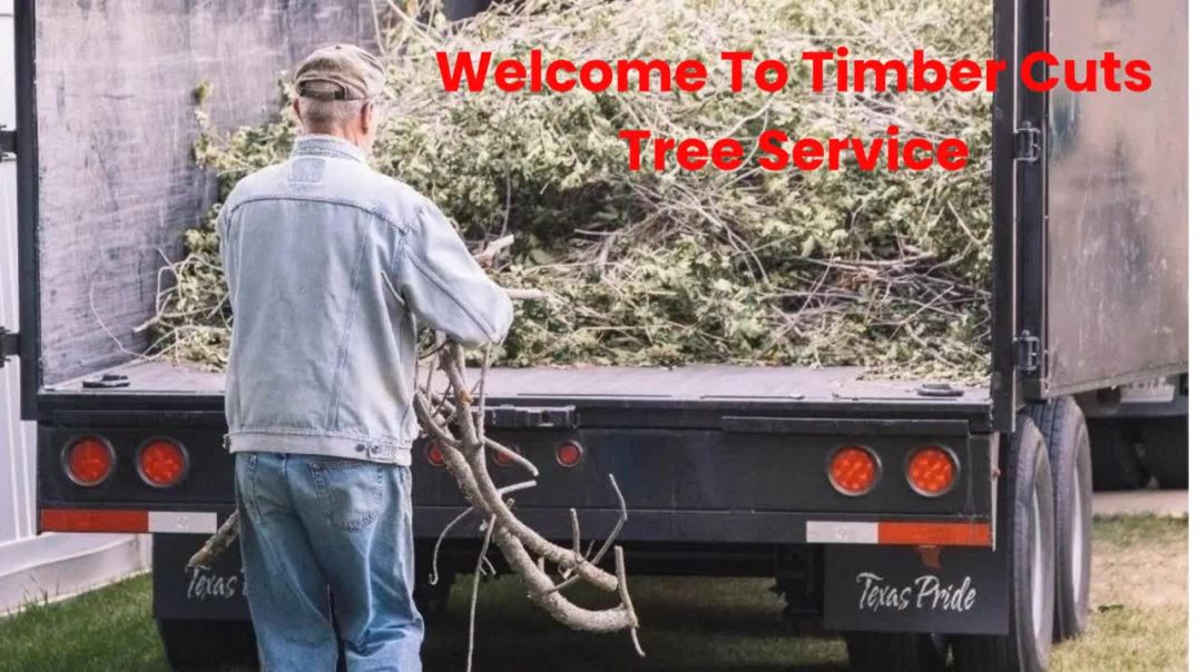 ⁣Timber Cuts Tree Trimming Service in Centerville, UT