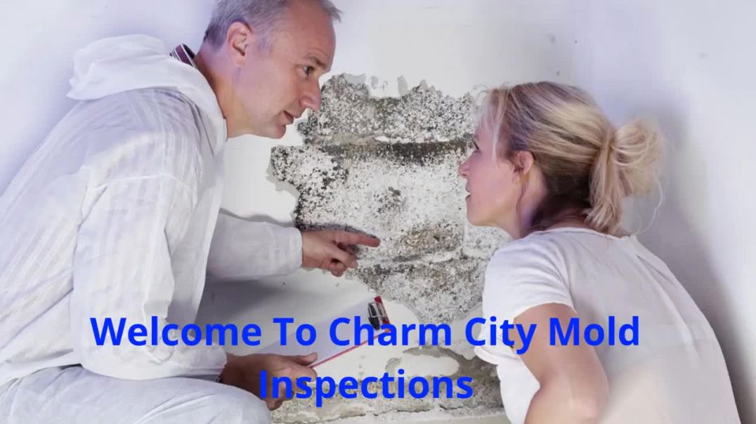 Charm City Mold Inspections – Affordable Mold Testing in Baltimore, MD